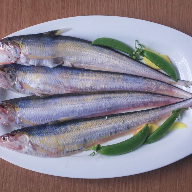 刀魚有幾種叫法