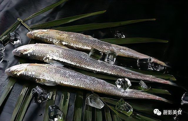 刀魚有幾種叫法