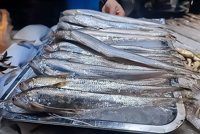 刀魚有幾種叫法