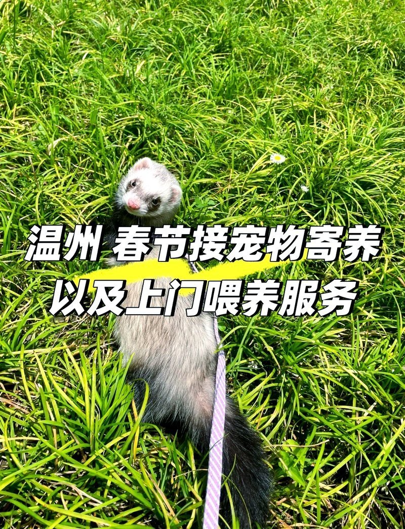 無錫龍魚寄養價格多少錢