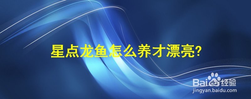 星點(diǎn)龍魚(yú)長(zhǎng)大后漂亮嗎