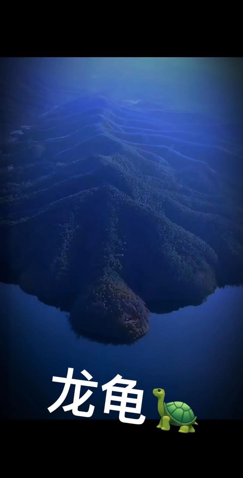 能否提供更多關于真龍大地的圖片？
