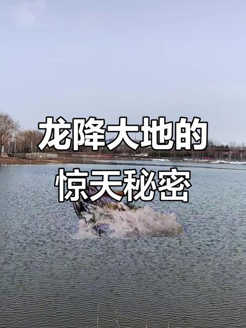 能否提供更多關于真龍大地的圖片？