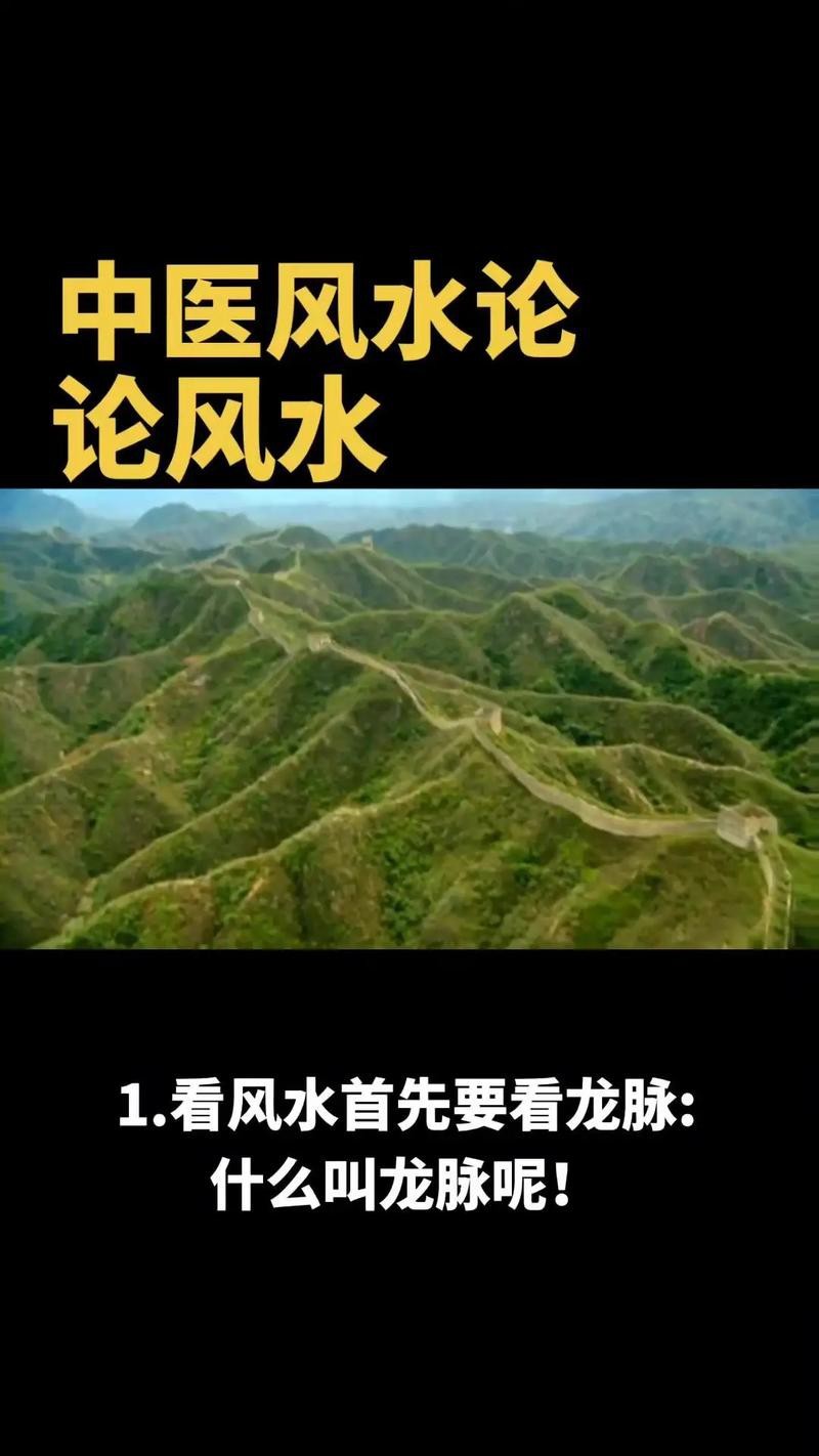 黃金龍魚魚餌（黃金龍魚餌的成分是什么？）