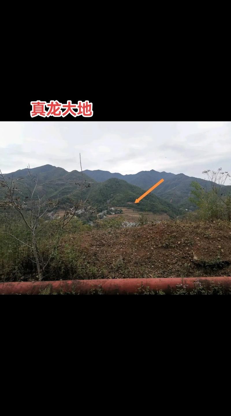 能否提供更多關于真龍大地的圖片？