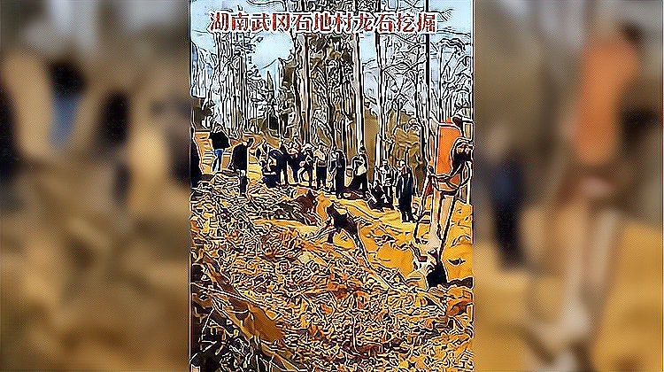 能否提供更多關于真龍大地的圖片？