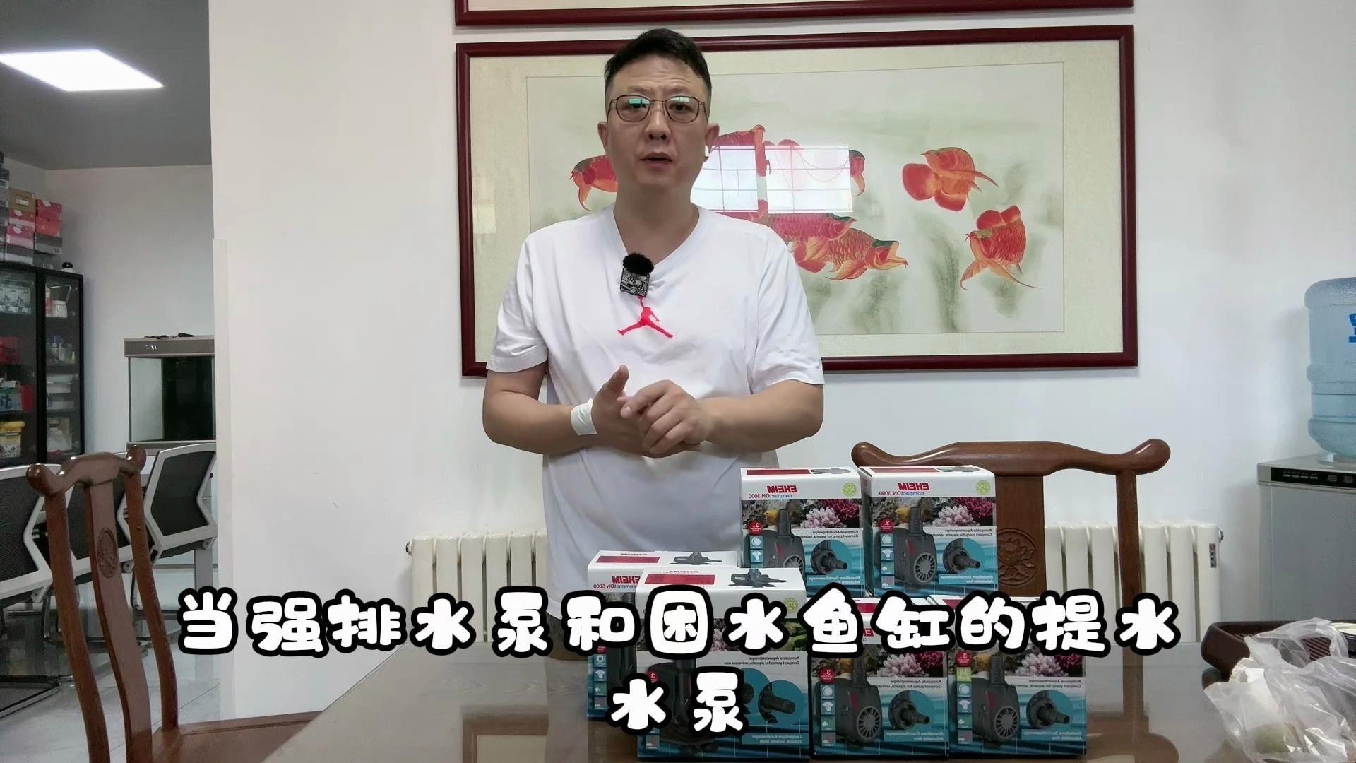 德國伊罕水泵真靜音么