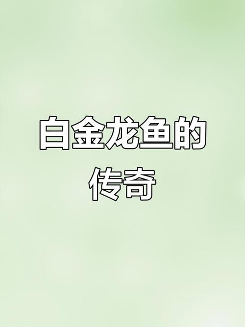 2025年屬龍人如何調整家居風水？
