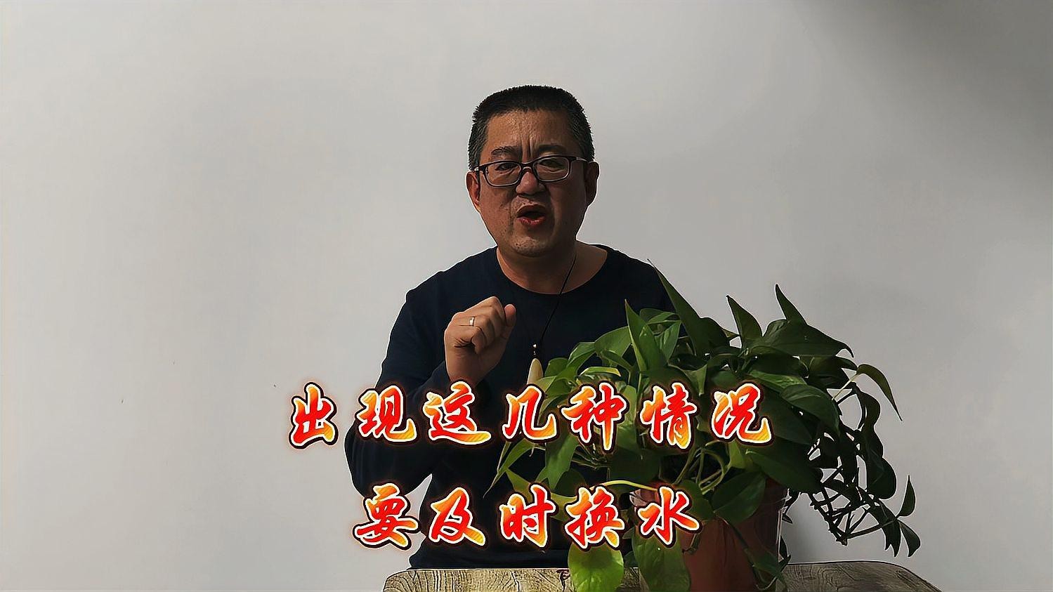 夏天魚缸幾天換一次水最好 夏天魚缸幾天換一次水最好 龍魚論壇 第4張