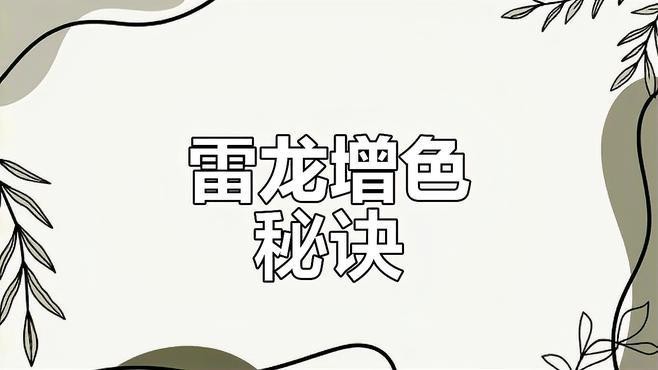 雷龍魚吃什么容易發(fā)色好
