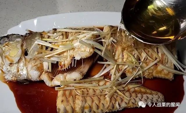 男子三年前買了一條銀龍魚，結果水泵出問題，網友：這也行，男子三年前買了一條小銀龍魚，因水泵出了問題，竟然掛了