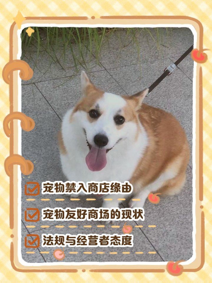 花博園為啥不讓帶狗