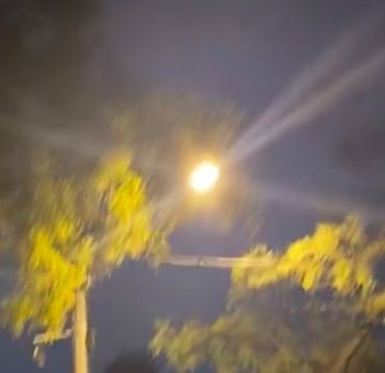 花博園為啥不讓帶狗