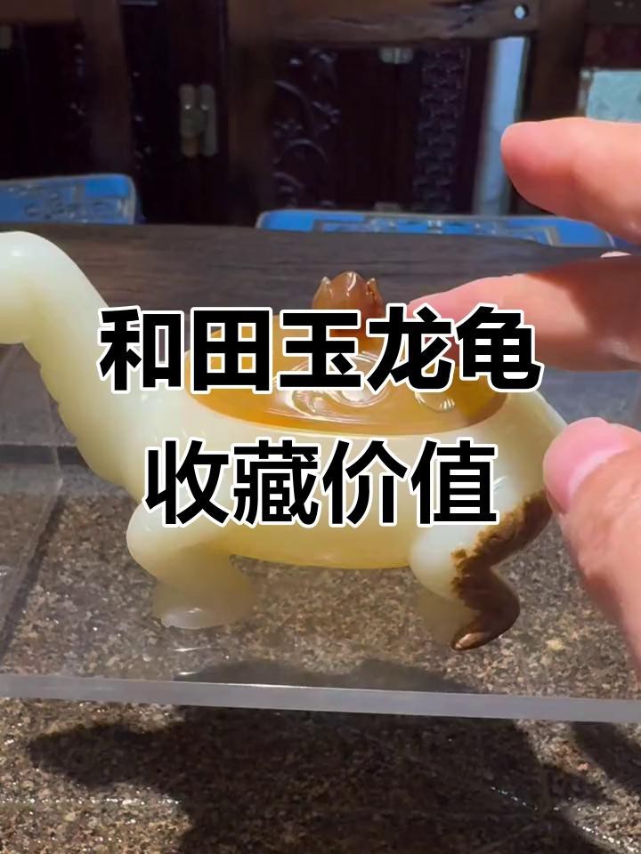 龍龜收藏中哪些材質最保值？ 龍龜收藏中哪些材質最保值？ 龍魚論壇 第3張