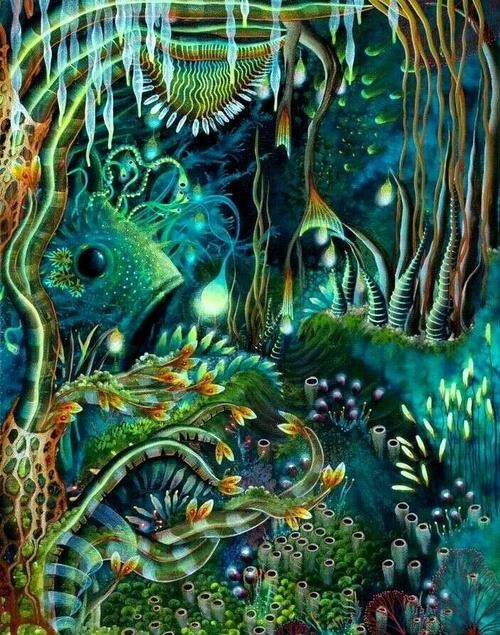 龍魚背景圖片大全大圖可愛的 龍魚百科 第18張 龍魚背景圖片大全大圖可愛的 龍魚背景圖片大全大圖可愛的 龍魚百科 第18張