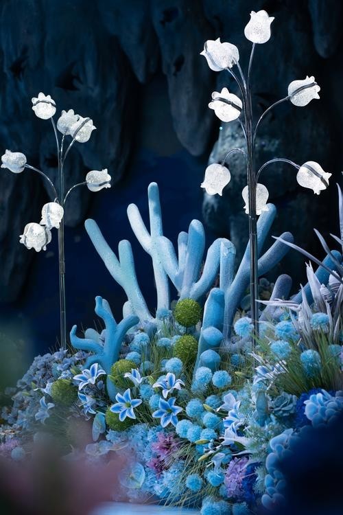 龍魚背景圖片大全大圖可愛的 龍魚百科 第15張 龍魚背景圖片大全大圖可愛的 龍魚背景圖片大全大圖可愛的 龍魚百科 第15張