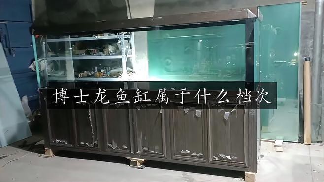 博世龍魚缸怎樣
