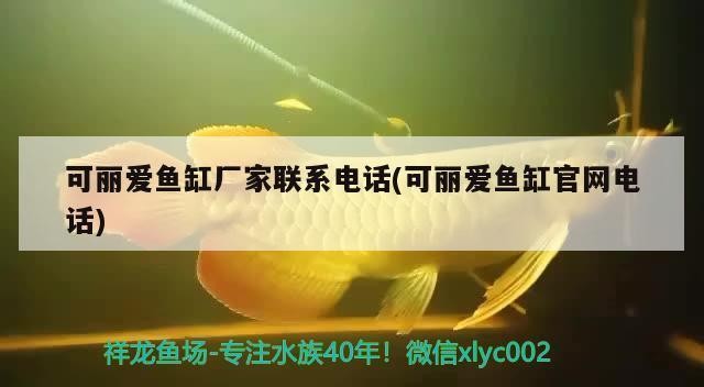 深圳市龍崗區(qū)平湖鎮(zhèn)海景水族館（深圳市龍崗區(qū)平湖鎮(zhèn)海景水族館電話）