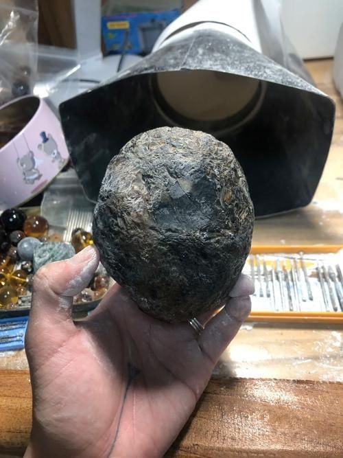 魟魚懷了龍蛋的圖片