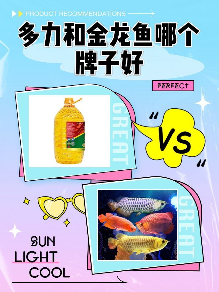多力與金龍魚哪個更受消費者好評？