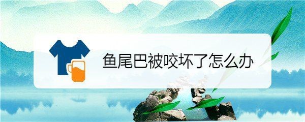 蝴蝶鯉尾巴被咬了還能不能長(zhǎng)出來(lái)
