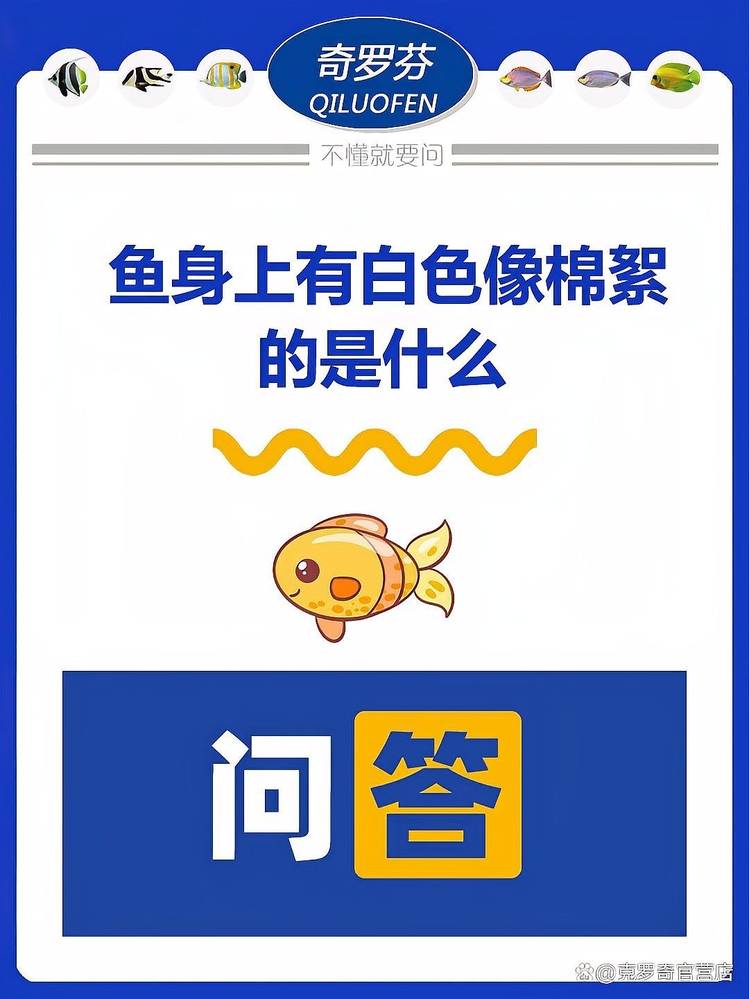 鶴崗市南山區雨霏水族館