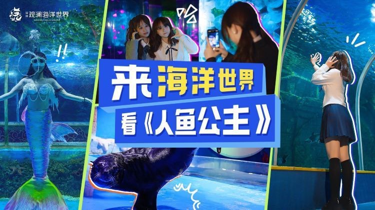深圳大型水族批發市場 深圳大型水族批發市場 龍魚論壇 第3張