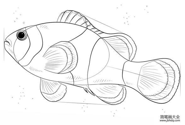 北票市南山魚樂水族店（北票觀賞魚） 北票市南山魚樂水族店（北票觀賞魚） 全國水族館企業名錄