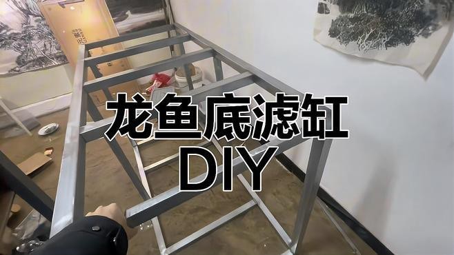 戰車紅龍需要多大的魚缸？