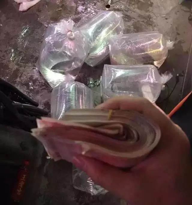 戰車紅龍需要多大的魚缸？