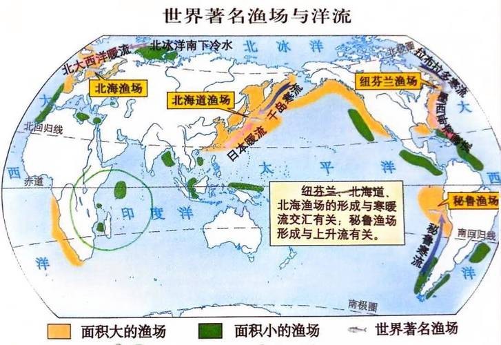 地理洋流漁場分布圖 龍魚論壇 第1張 地理洋流漁場分布圖 地理洋流漁場分布圖 龍魚論壇 第1張