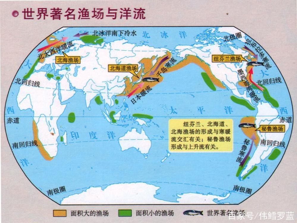 地理洋流漁場分布圖 龍魚論壇 第11張 地理洋流漁場分布圖 地理洋流漁場分布圖 龍魚論壇 第11張