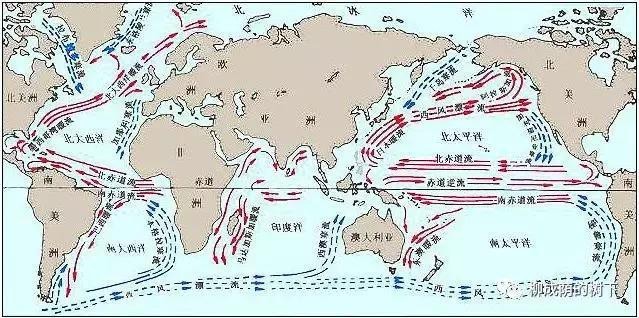 地理洋流漁場分布圖 地理洋流漁場分布圖 龍魚論壇 第22張