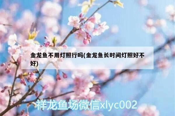 森森魚缸App可以看到魚缸不（如何設置森森魚缸app定時任務？）