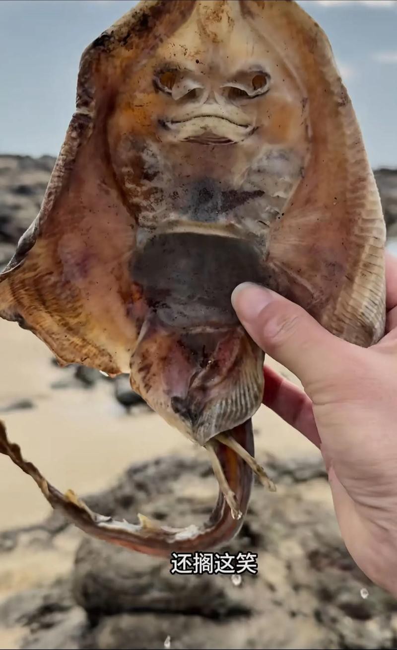 超神龍魚價格表圖片 超神龍魚價格表圖片 龍魚百科 第24張