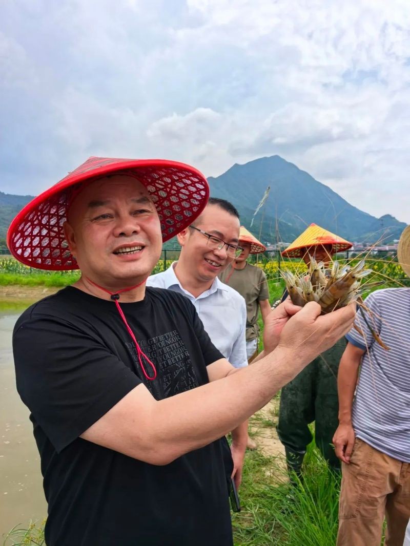 市場上小青龍多少錢一斤 市場上小青龍多少錢一斤 龍魚論壇 第9張