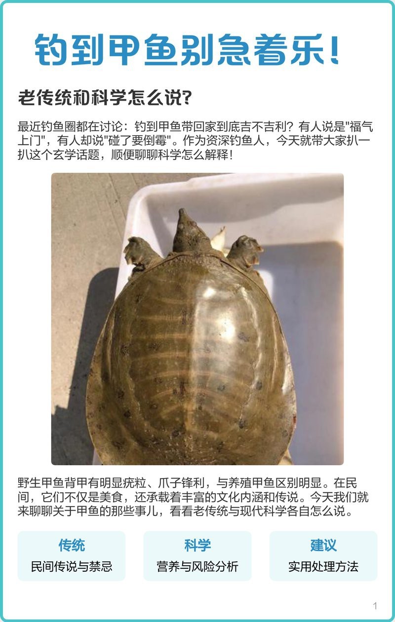 甲魚替人擋災的四大表現(xiàn)