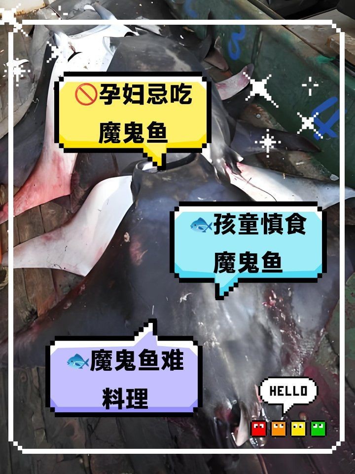 魟魚最忌三種水果 魟魚最忌三種水果 龍魚論壇 第6張