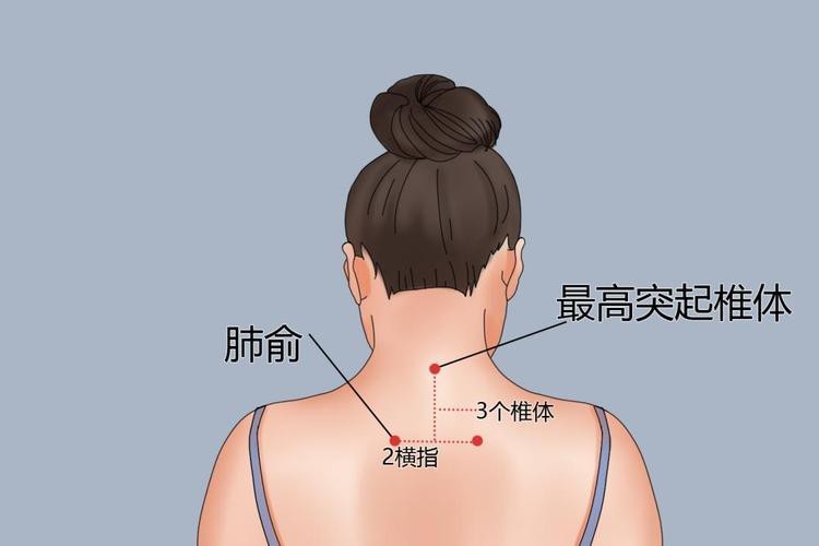 肺俞的準確位置圖