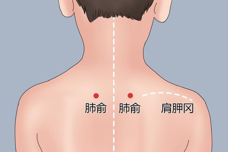 肺俞的準確位置圖