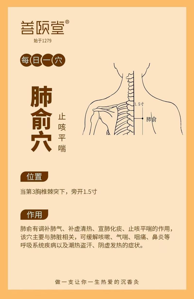 肺俞的準確位置圖