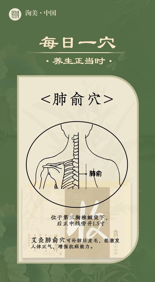肺俞的準確位置圖