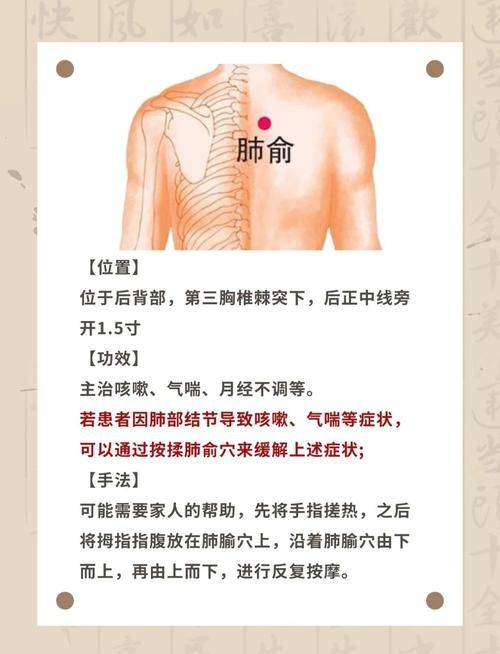 肺俞的準確位置圖