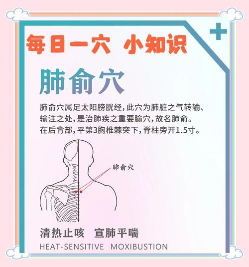 肺俞的準確位置圖