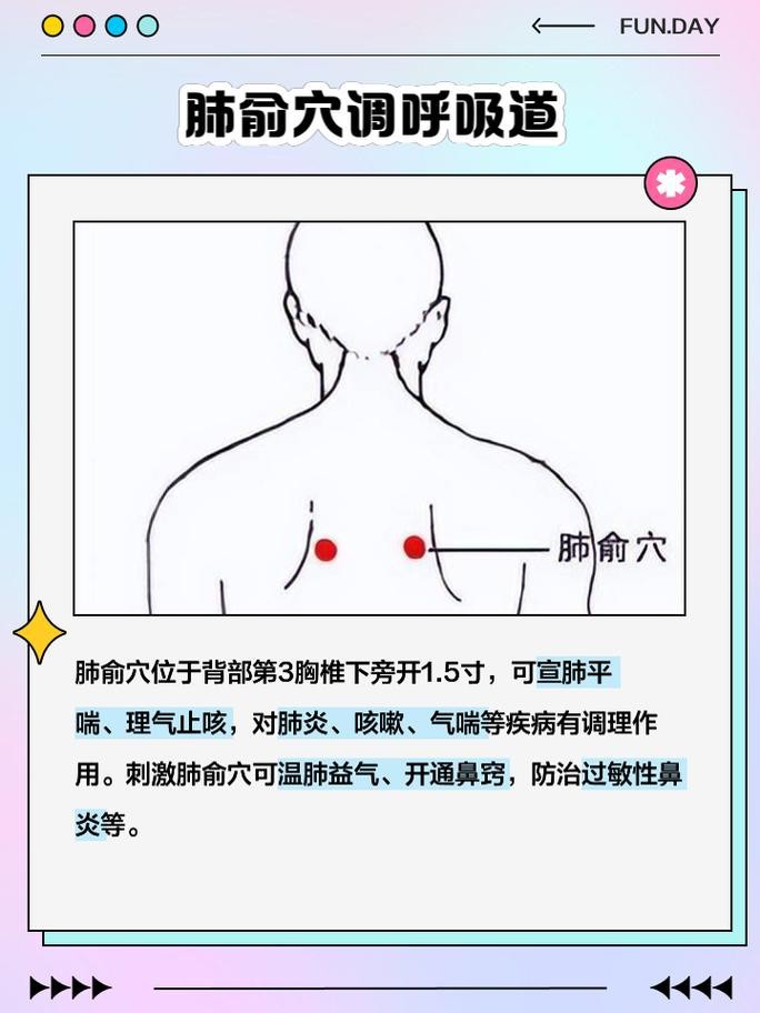 肺俞的準確位置圖