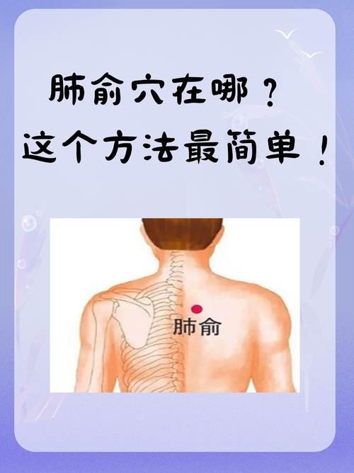 肺俞的準確位置圖