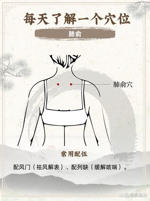 肺俞的準確位置圖
