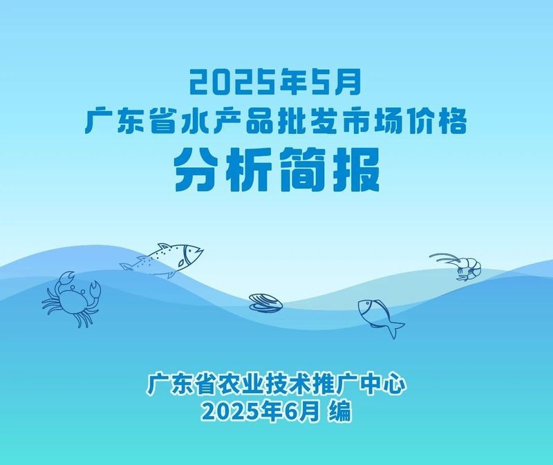 水鼻子魚價格表最新