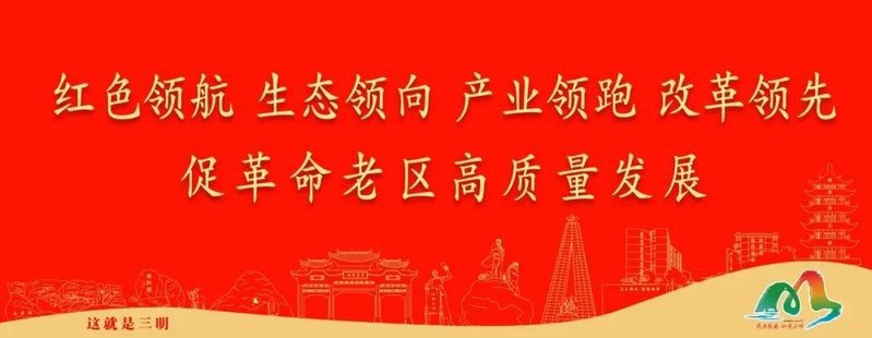 福建紡織企業排名