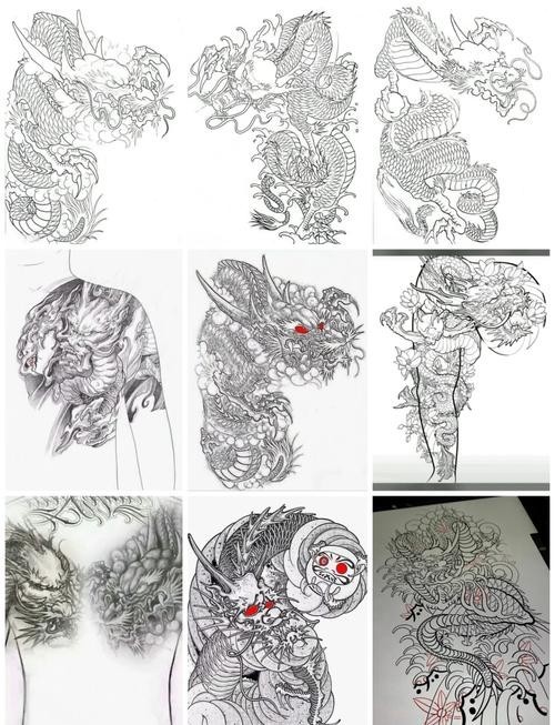 青龍魚圖片青鱗紋身